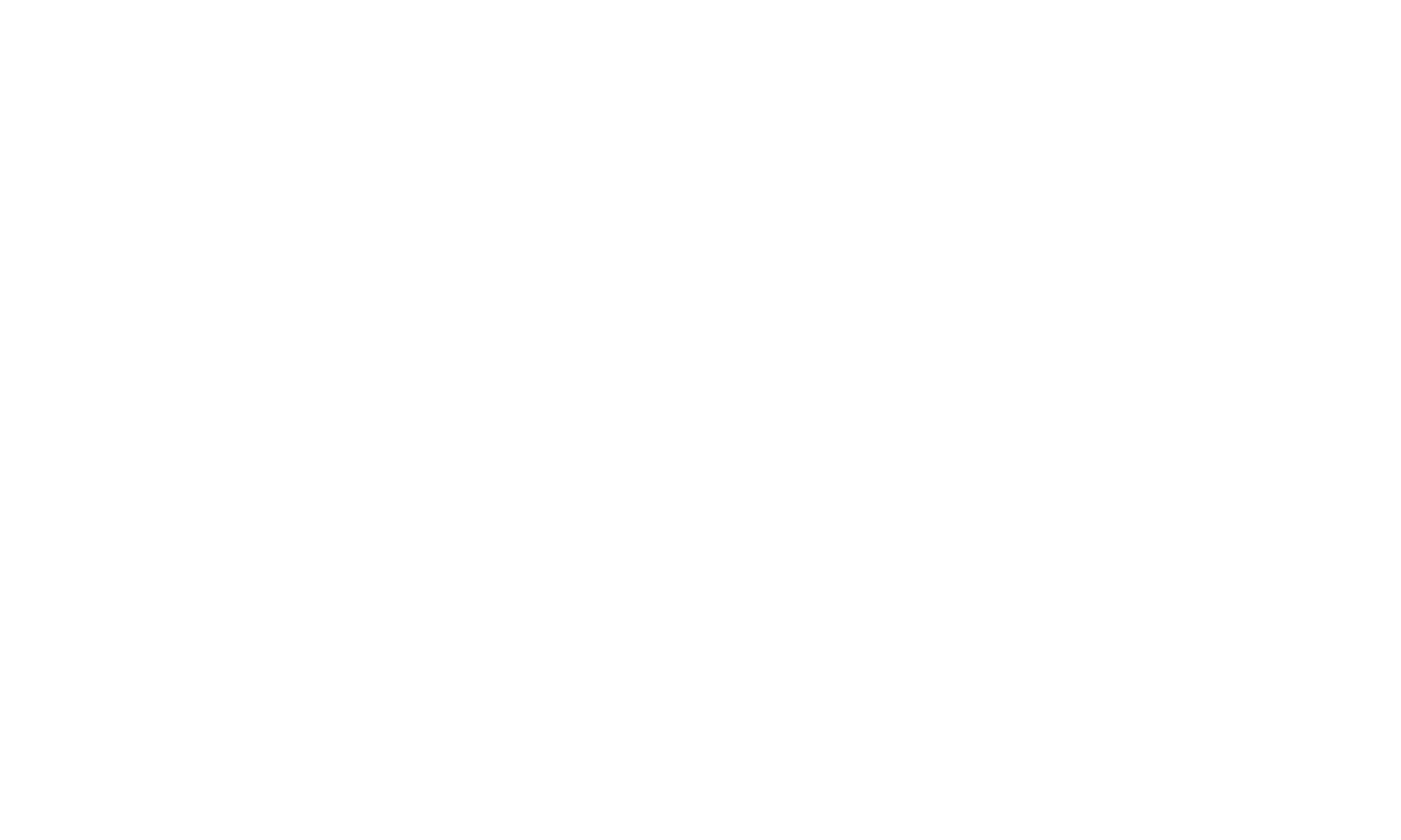 スパイ in デンジャー