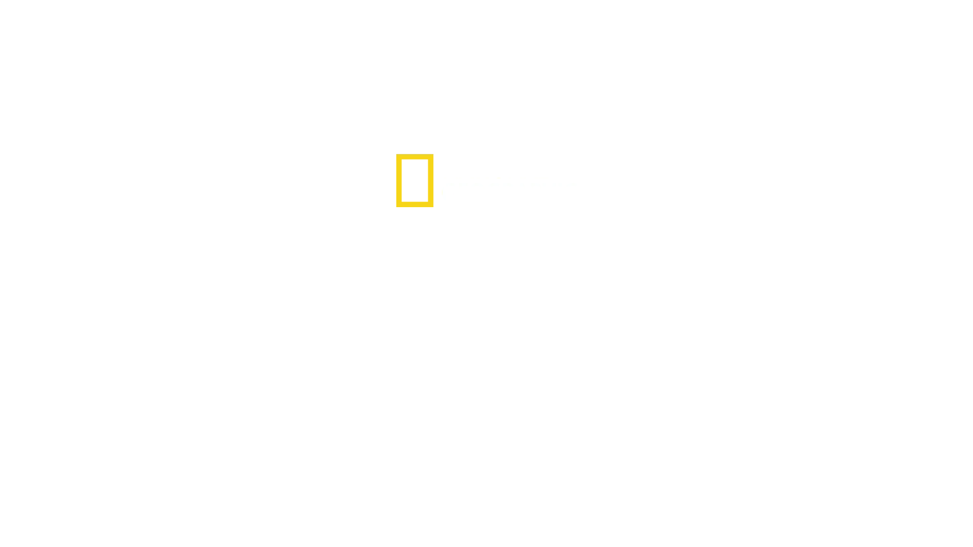 Trackers