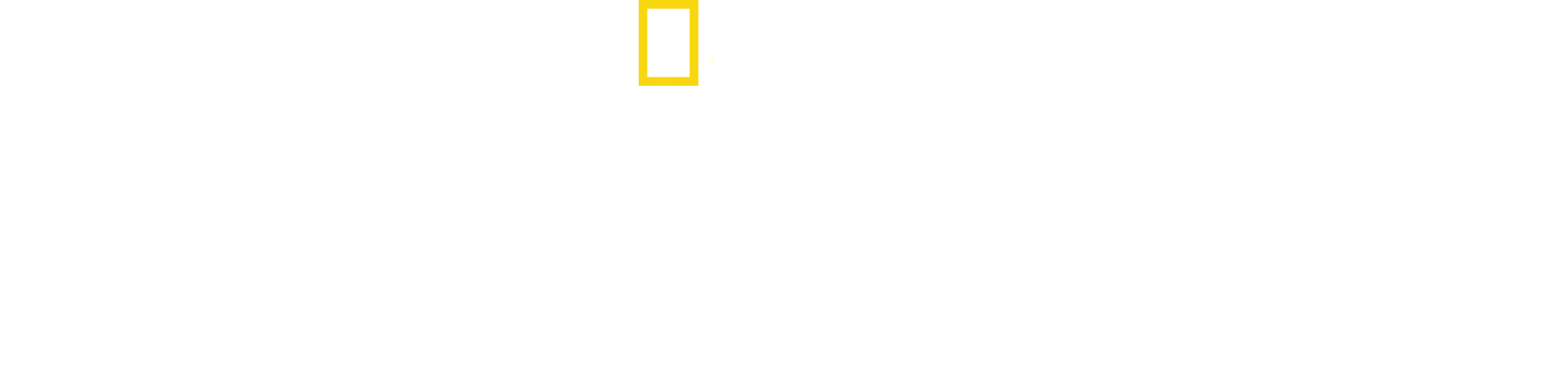 Trackers