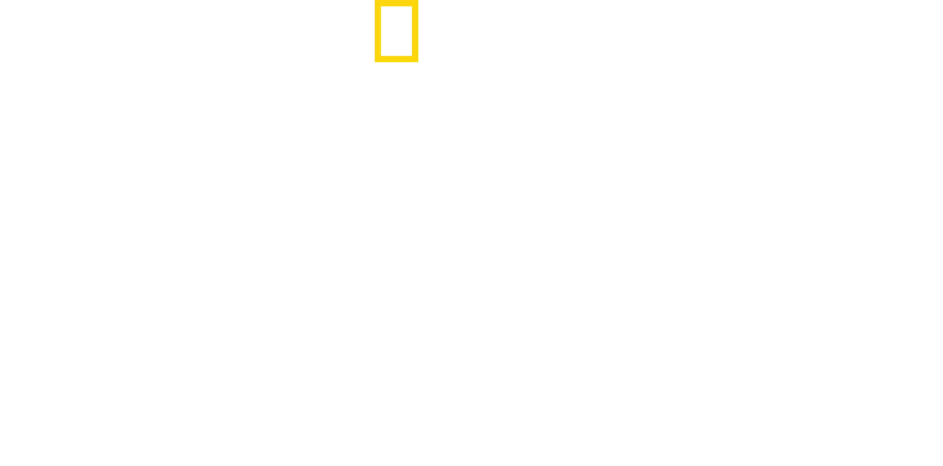 タイに生きるワイルドキャット