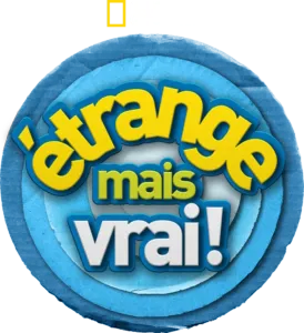 Étrange mais vrai