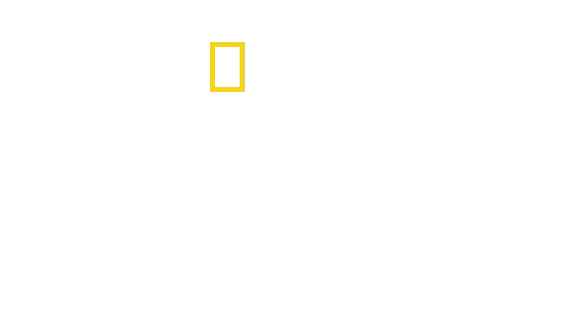 Setkání se šimpanzi