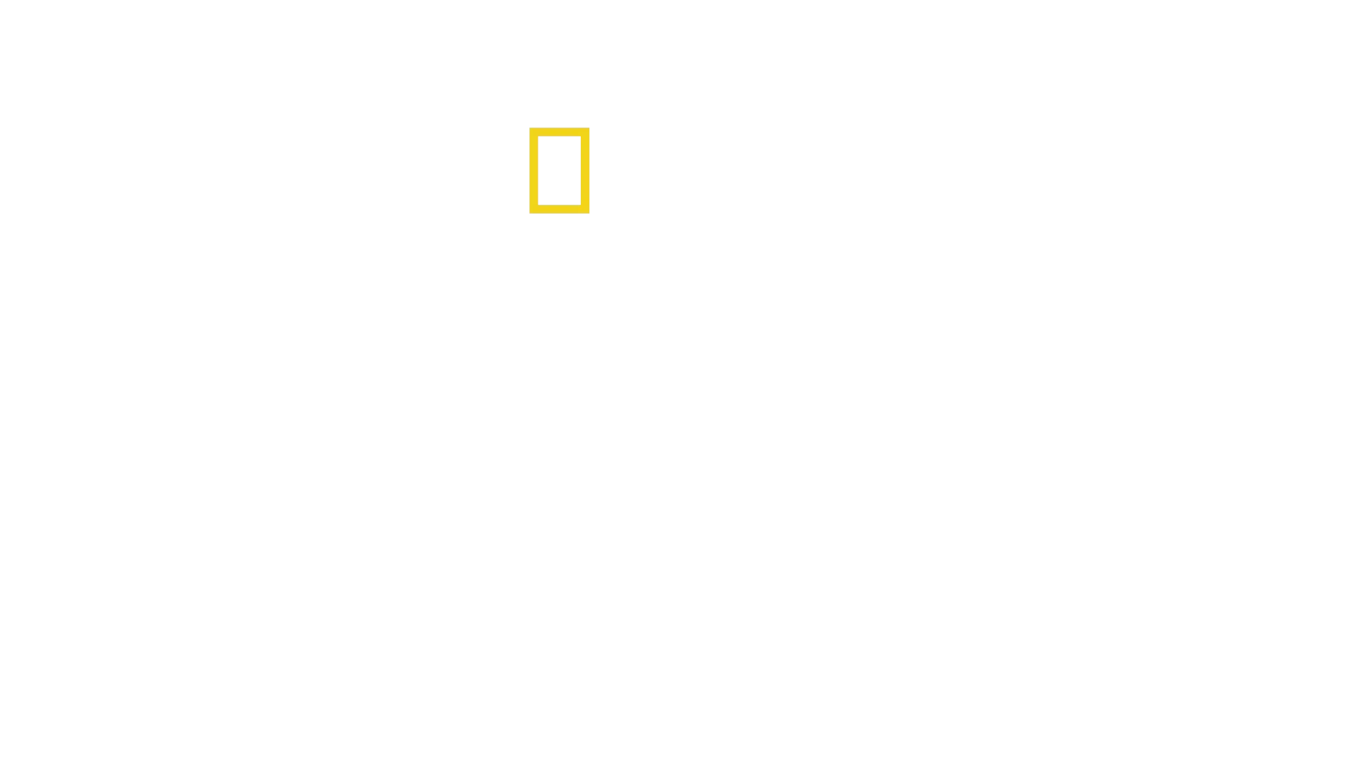 Die geheimnisvolle Welt der Elefanten