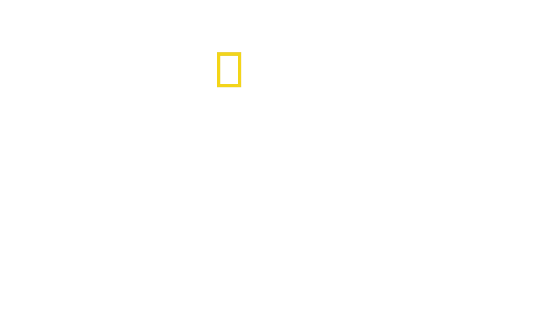 Die geheimnisvolle Welt der Elefanten