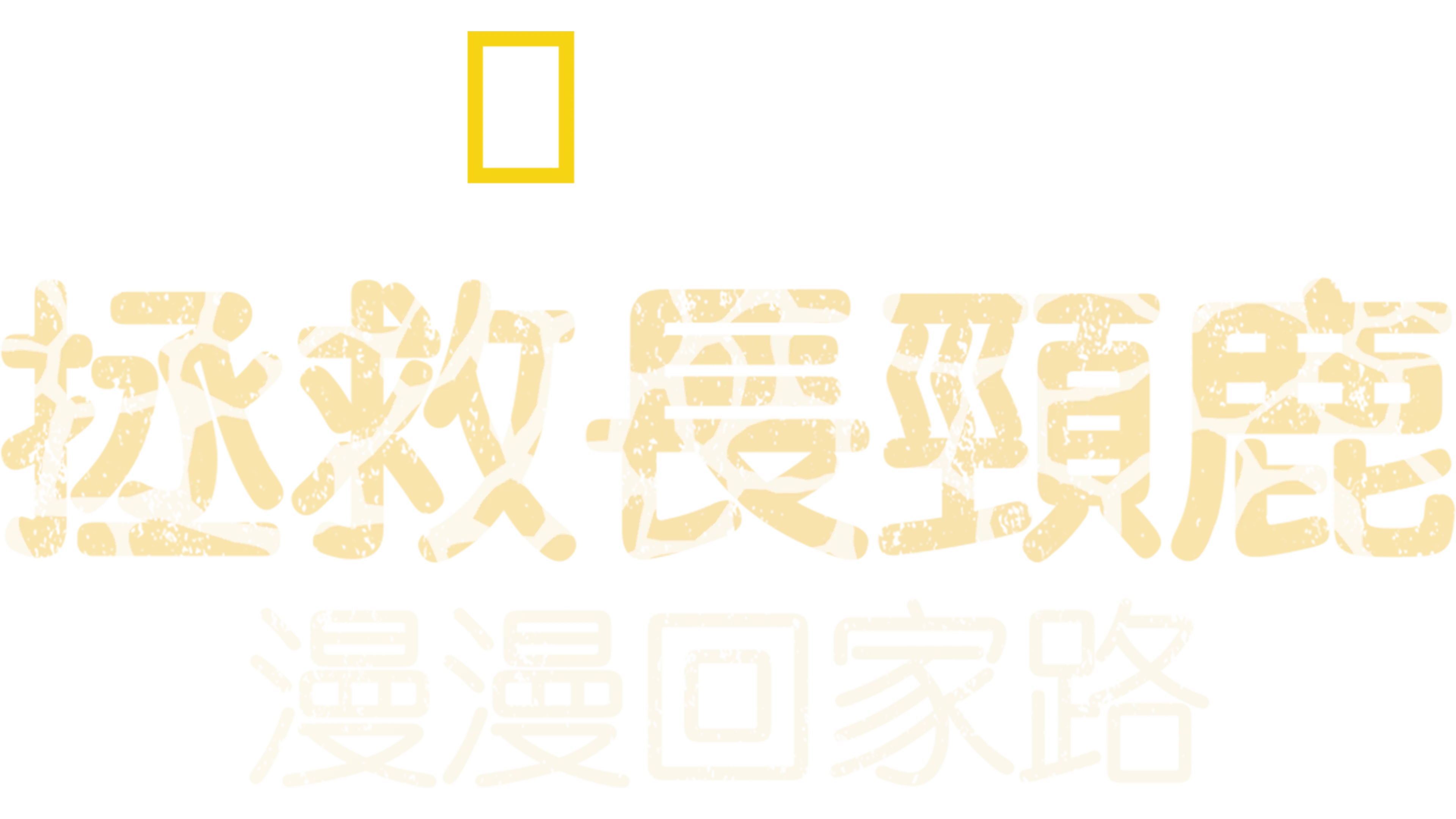 拯救長頸鹿：漫漫回家路