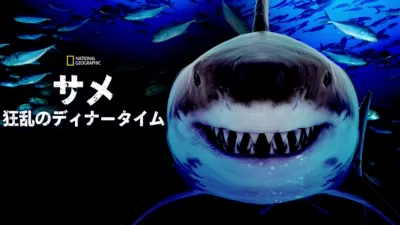 サメ：狂乱のディナータイム