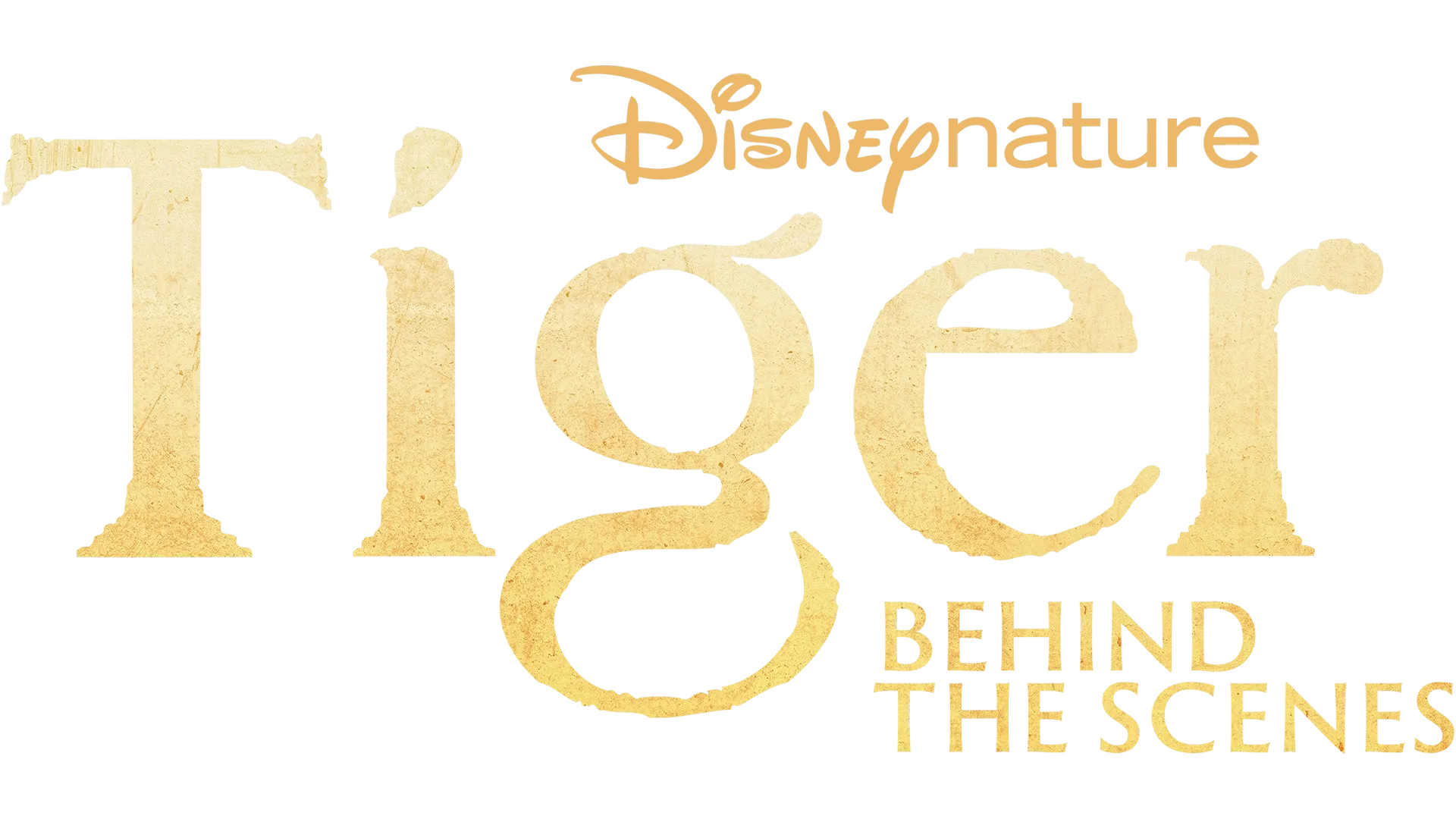 Tiger – Behind the scenes