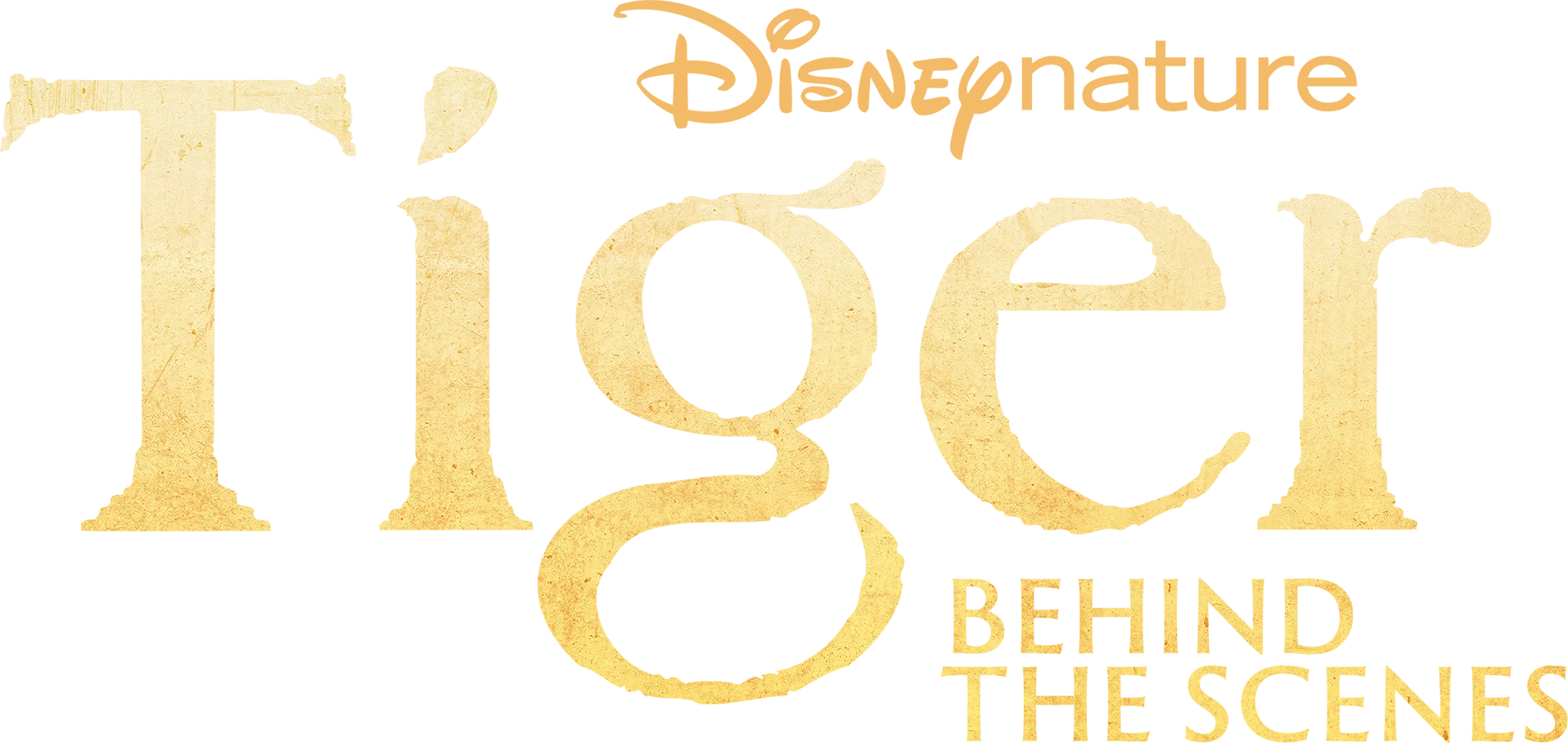 Tiger – Behind the scenes