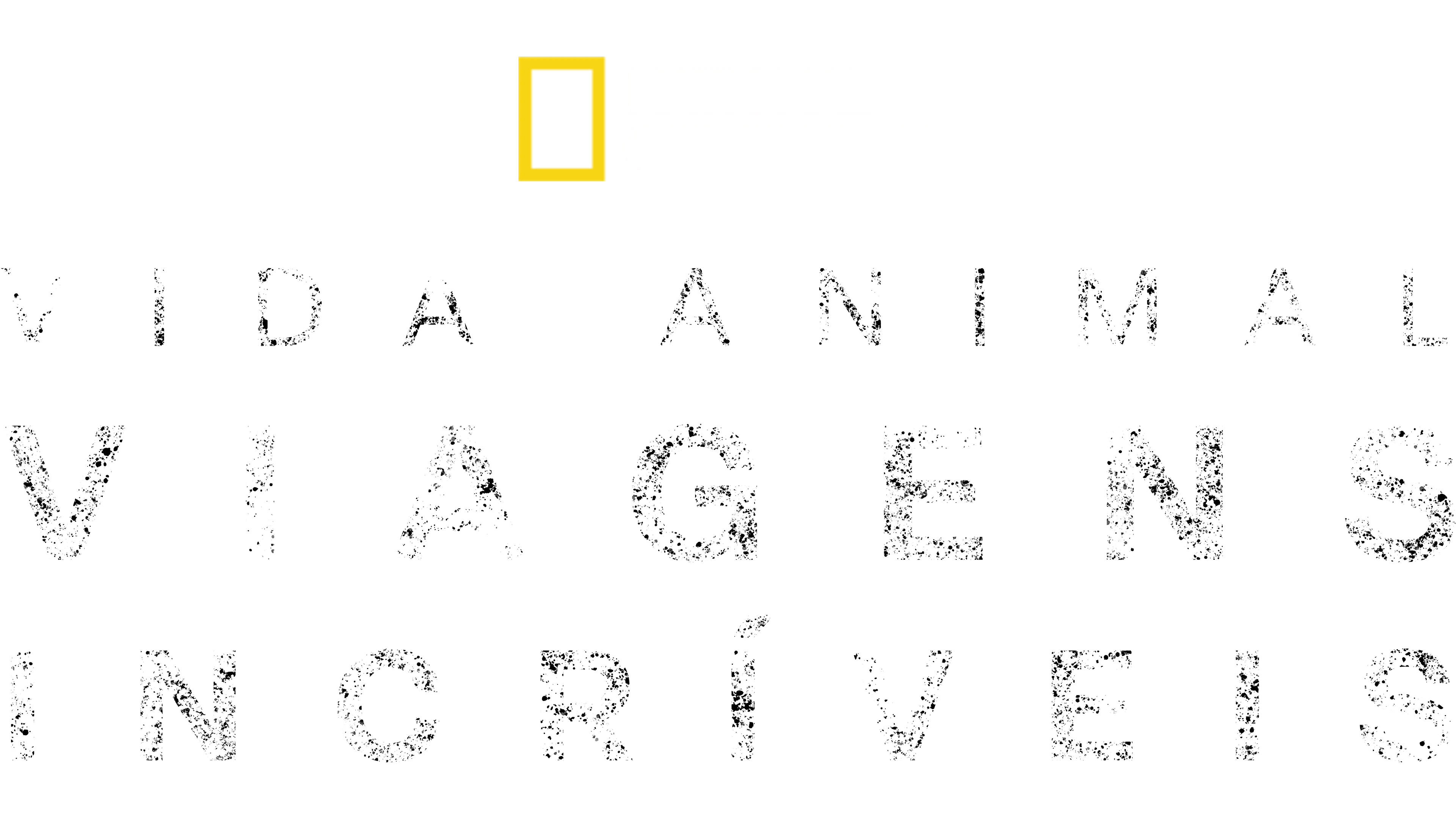 Viagens Incríveis de Animais