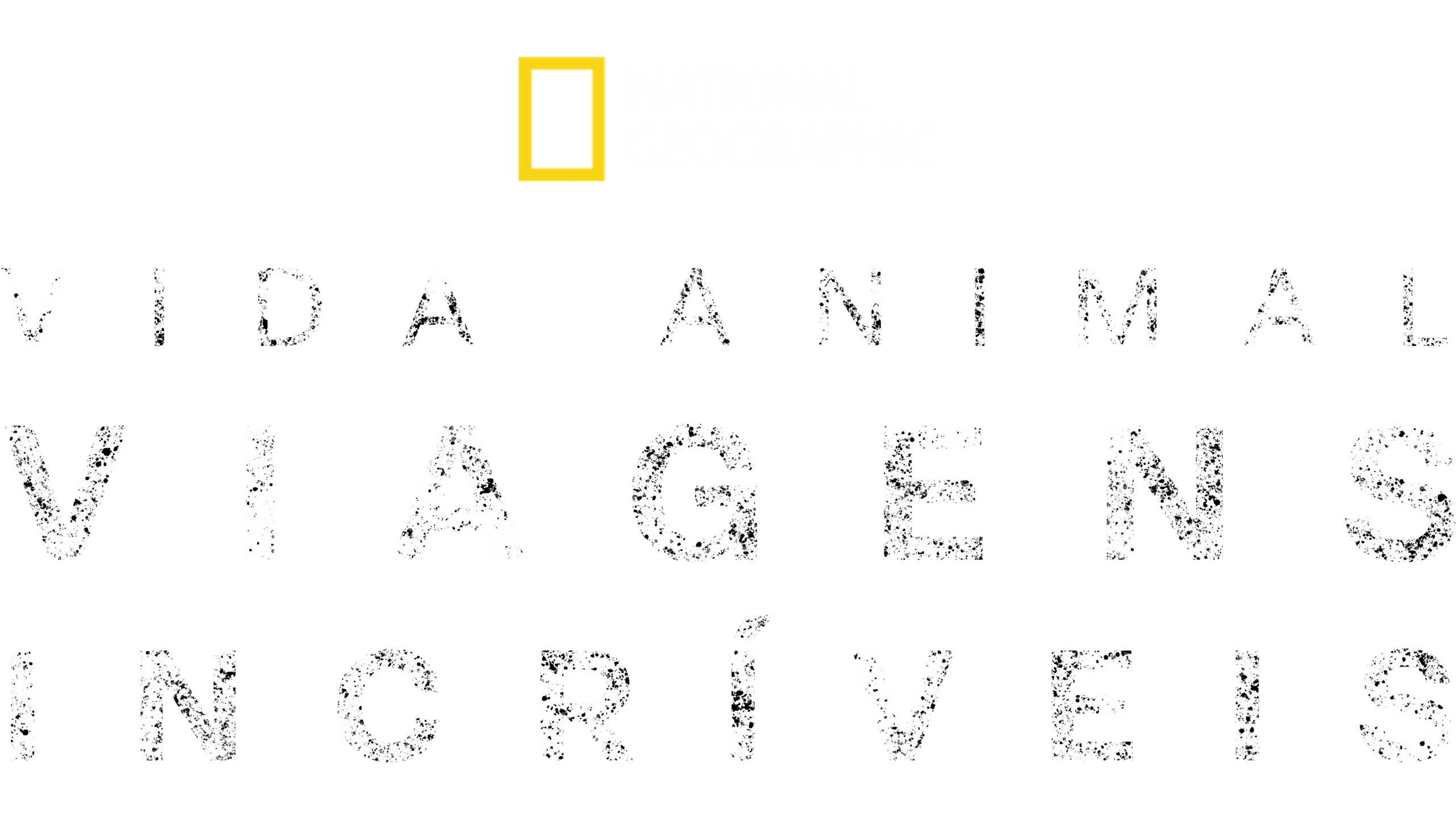 Viagens Incríveis de Animais