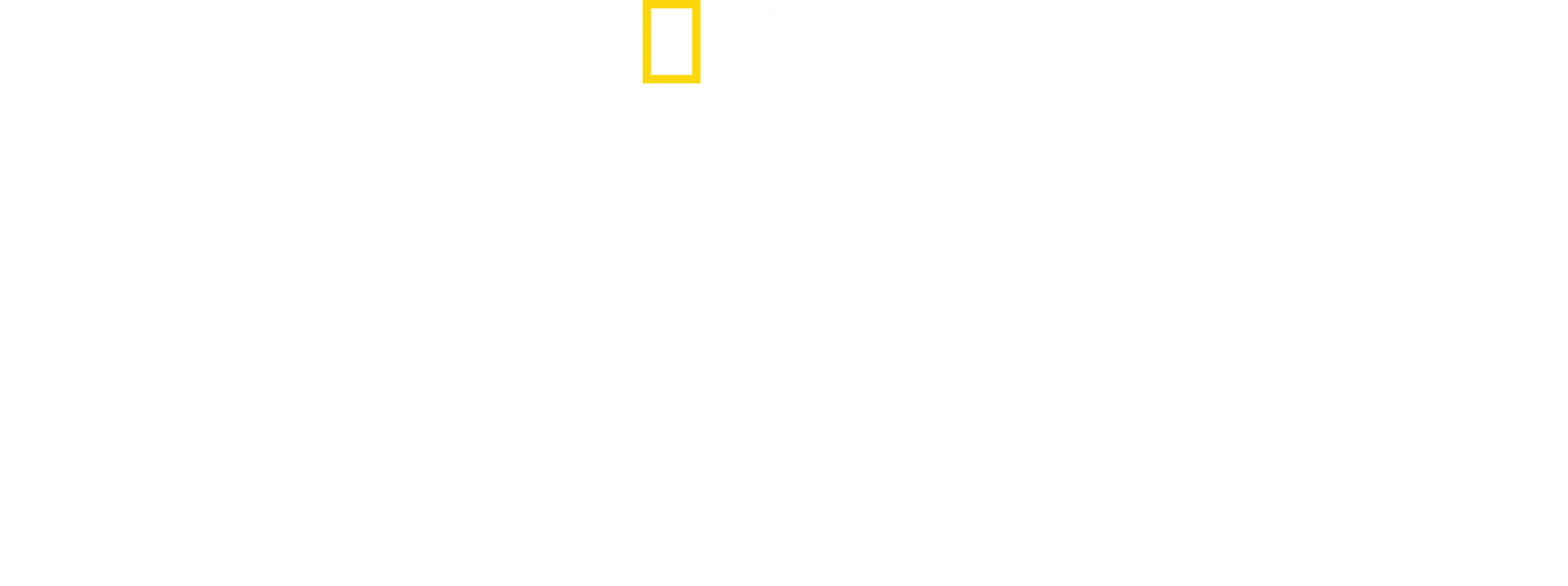 Regno selvaggio
