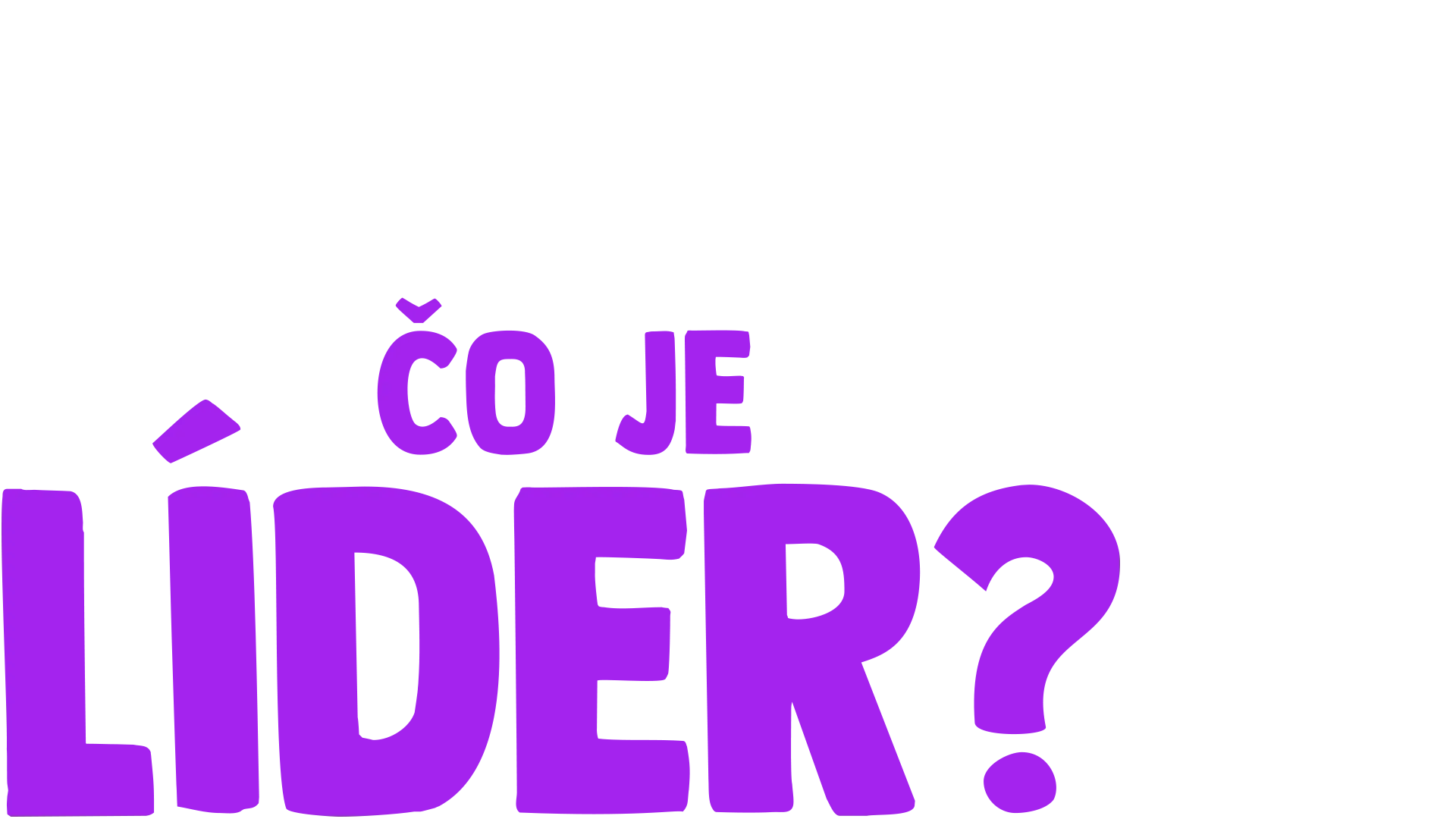 Vidlík kladie otázku: Čo je líder?