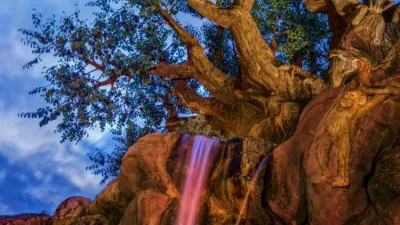thumbnail - S1:E2 Sunrise at DISNEY’S ANIMAL KINGDOM® Park