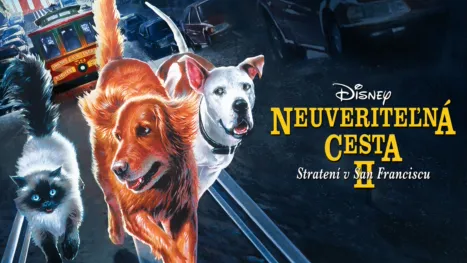 thumbnail - Neuveriteľná cesta 2: Stratení v San Franciscu