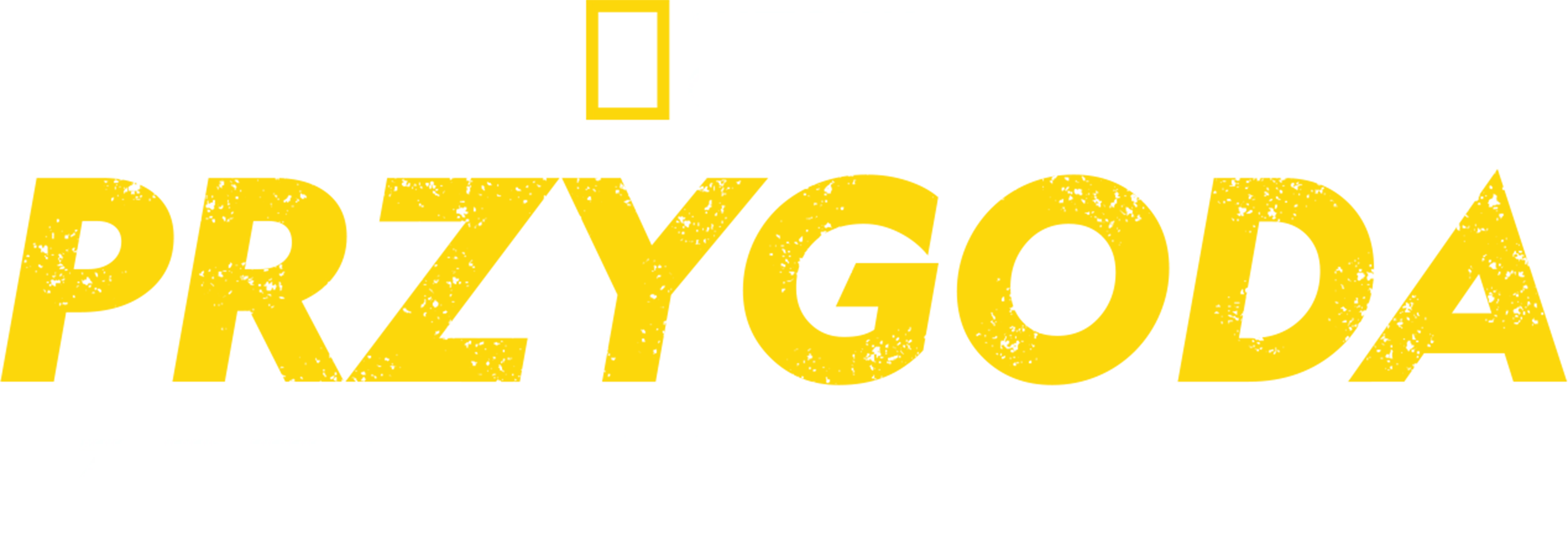 Przygoda z Bearem Gryllsem