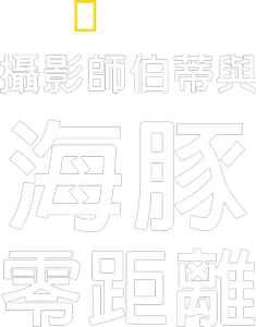 攝影師伯蒂與海豚零距離