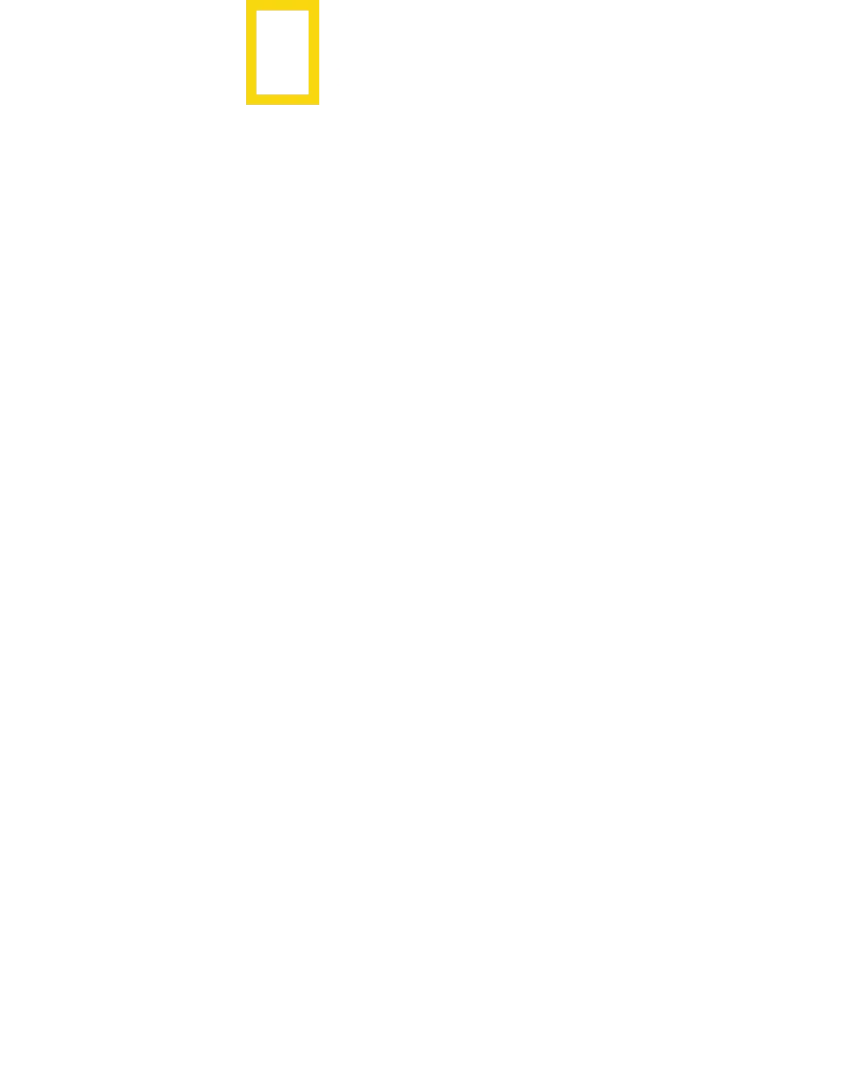 攝影師伯蒂與海豚零距離