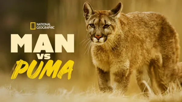 thumbnail - Man vs Puma