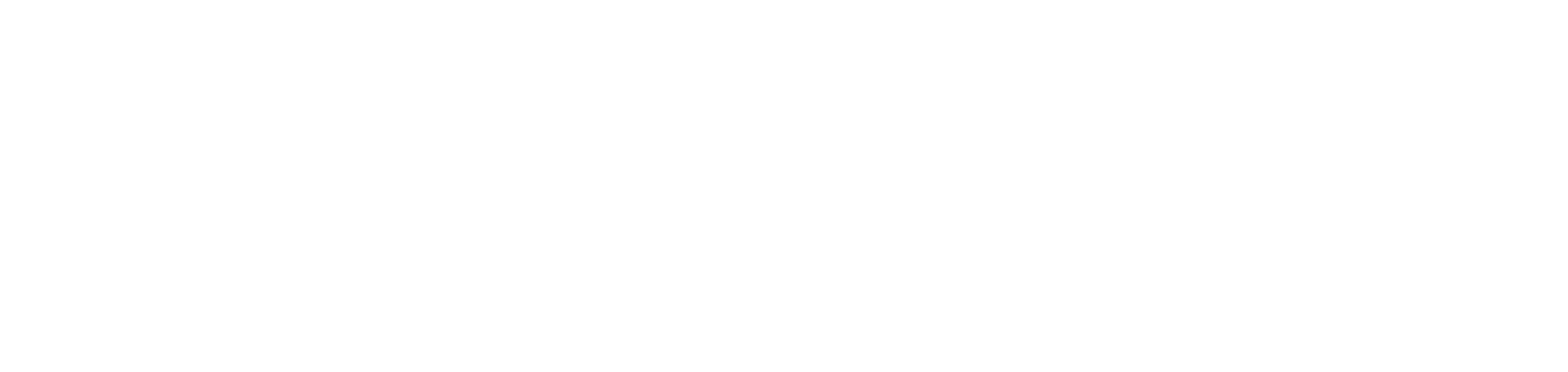晝盲神探