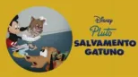 thumbnail - Salvamento gatuno