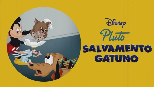 thumbnail - Salvamento gatuno