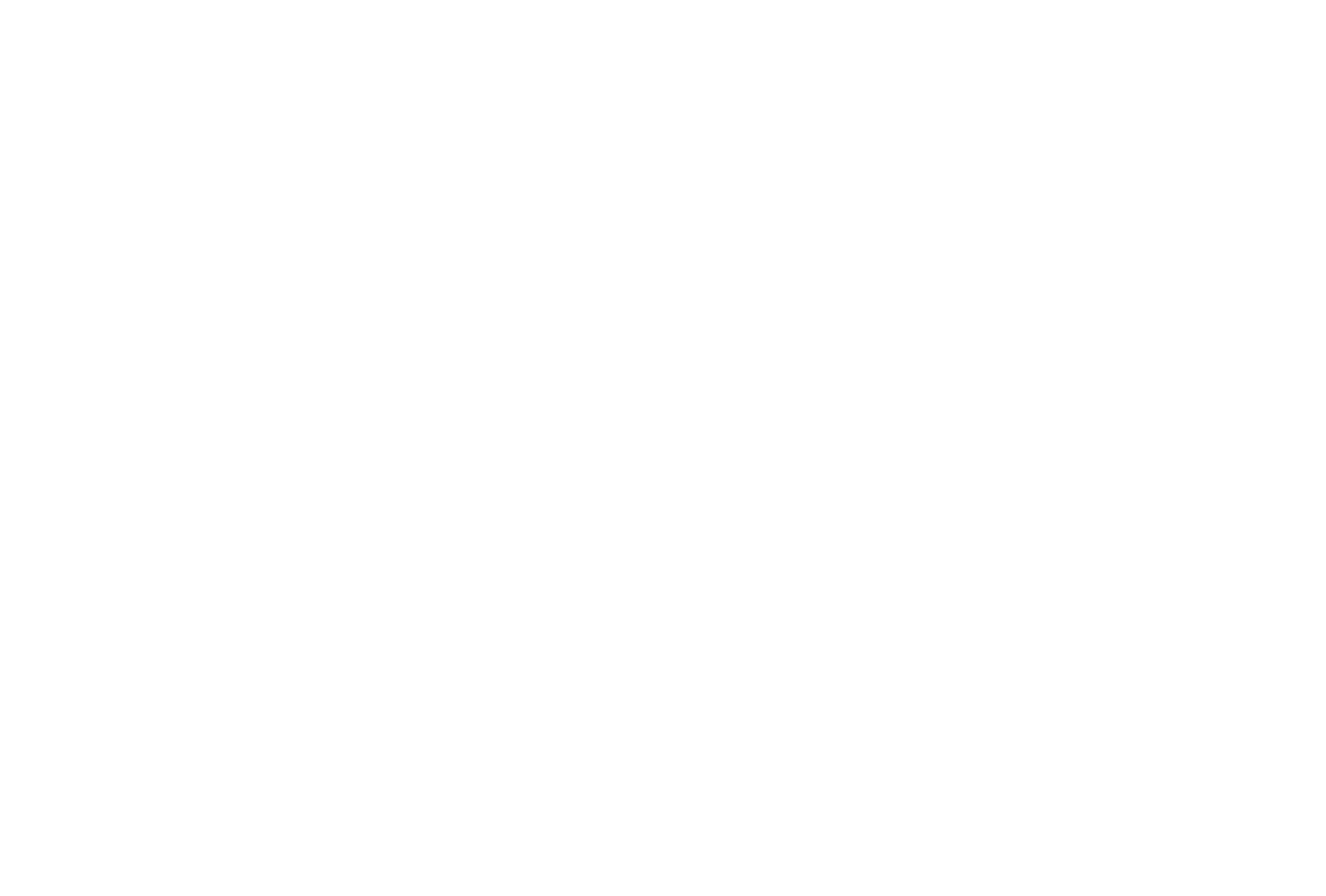 Stuber - 5 Sterne Undercover