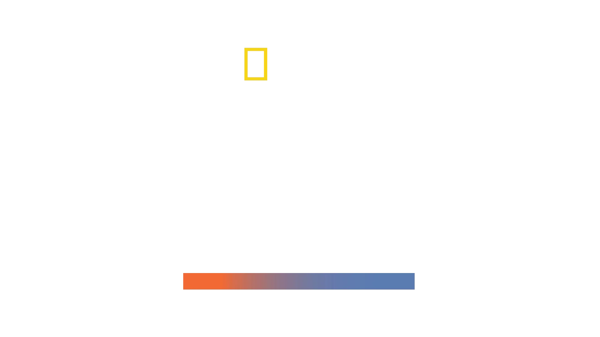 Mega Hammerhead
