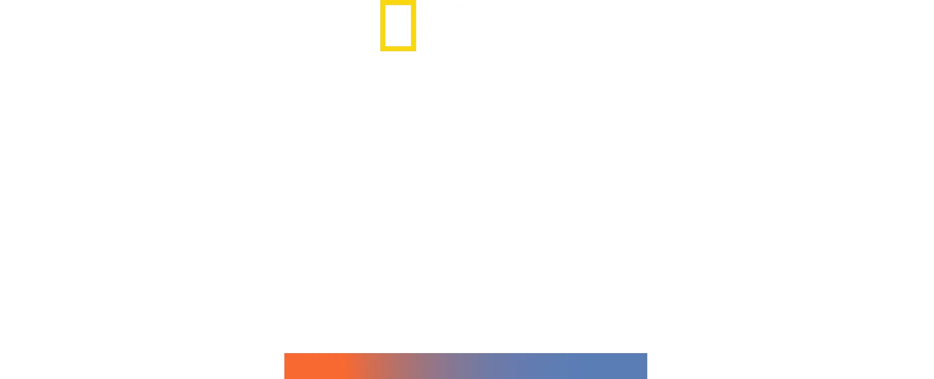 Mega Hammerhead