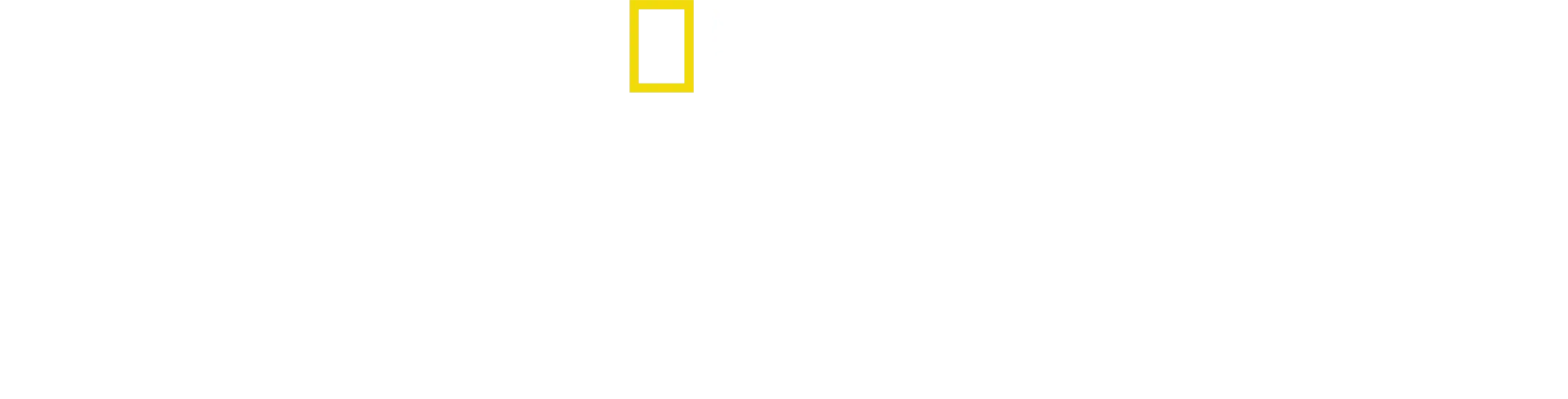 与黑猩猩有约