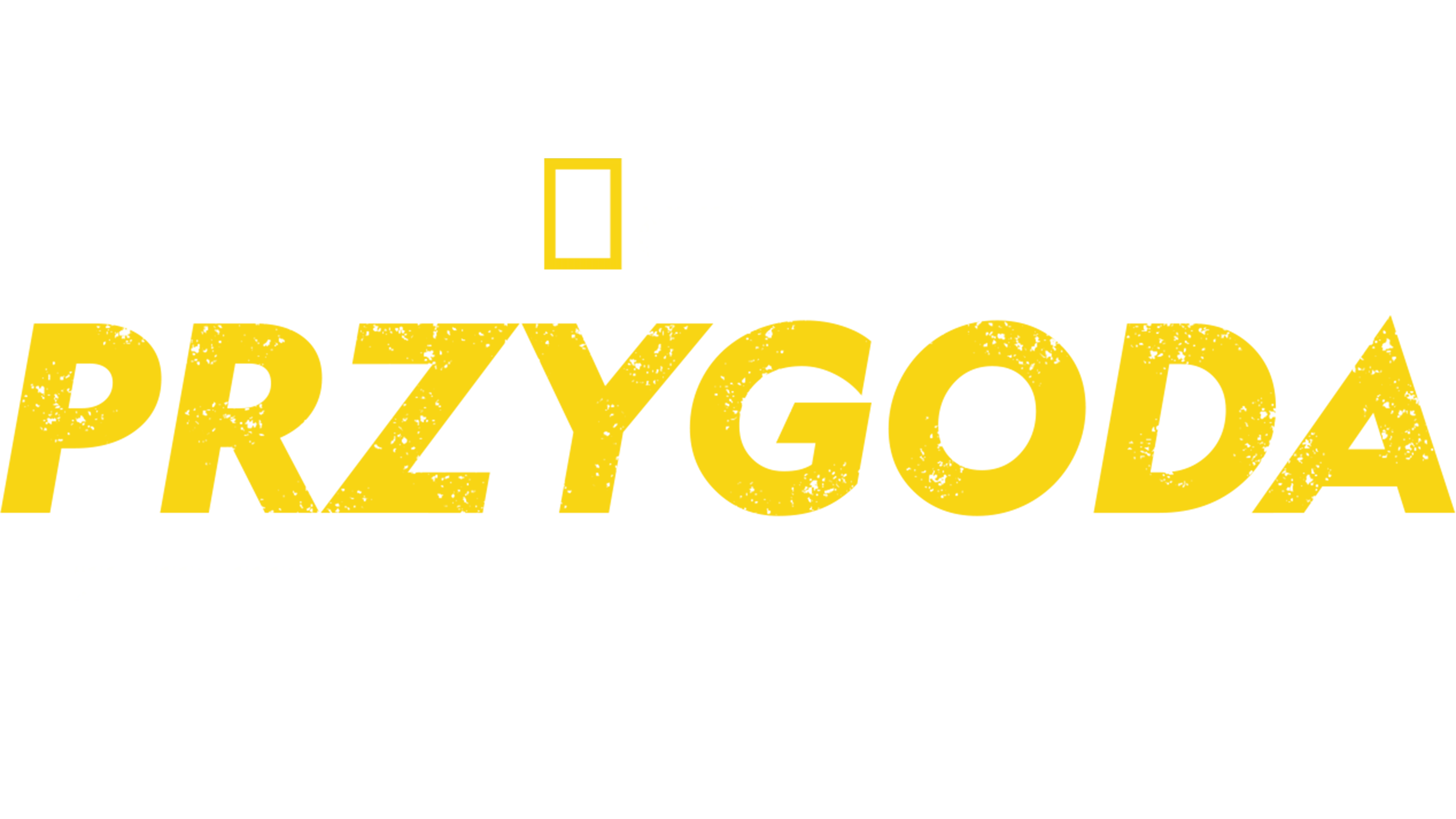 Przygoda z Bearem Gryllsem