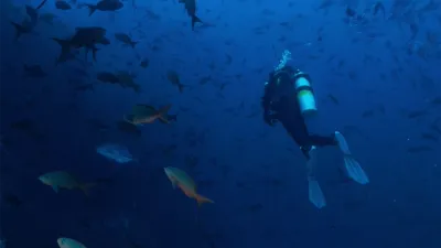 thumbnail - S1:E3 Pacific