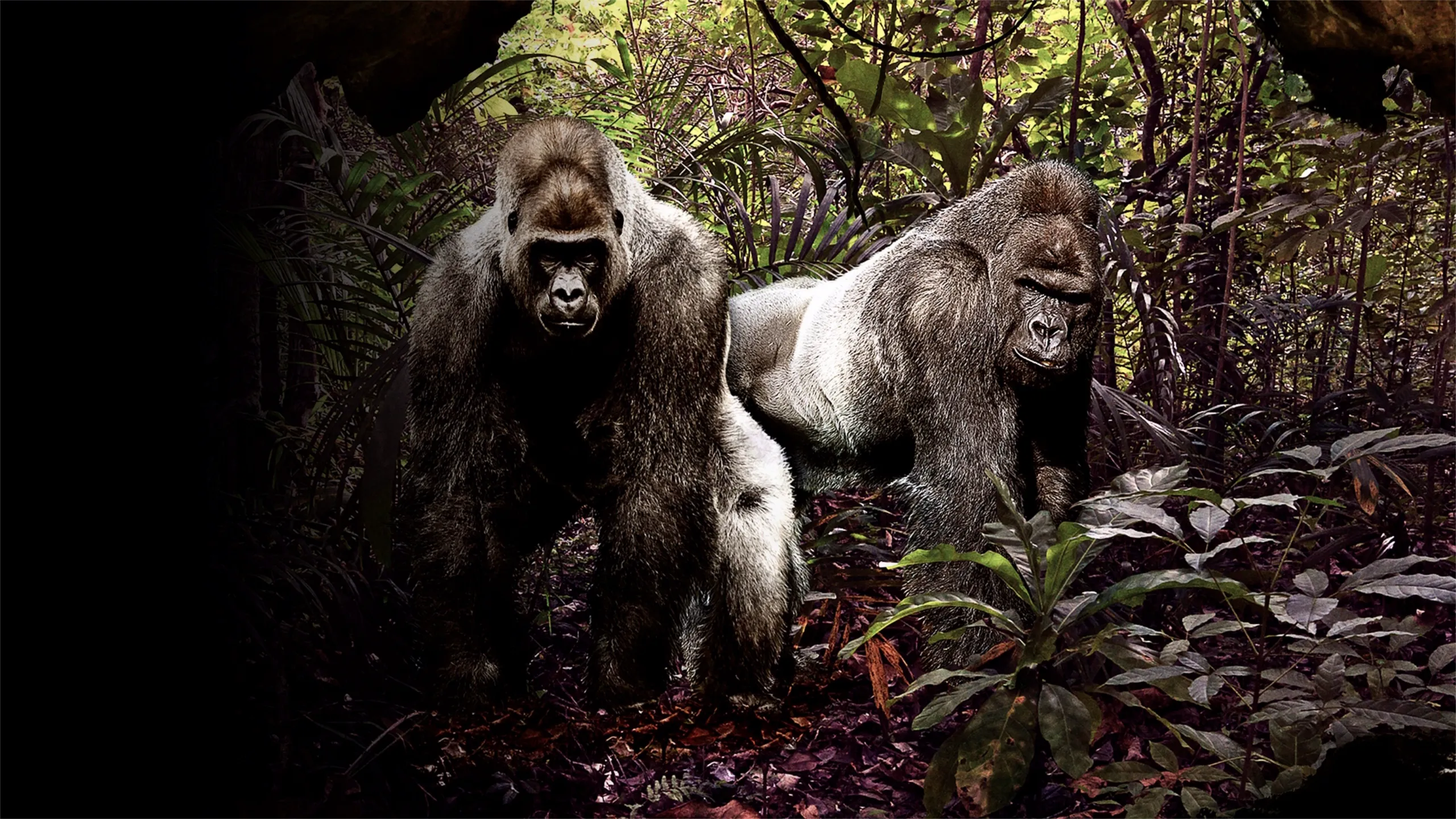 MonsterQuest: Dangerous Primates