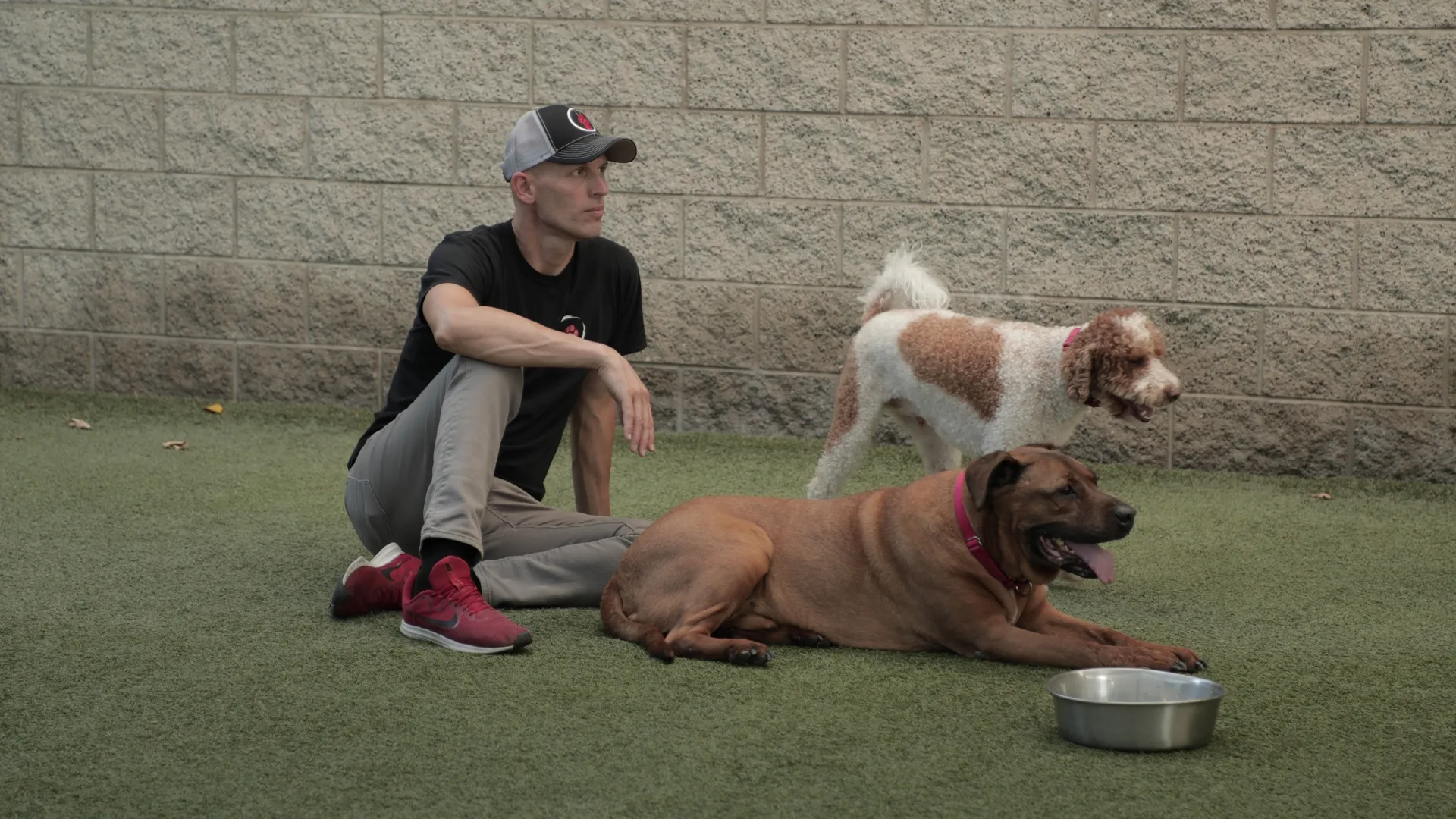 thumbnail - S2:E8 Split Pawsonality