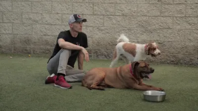 thumbnail - S2:E8 Split Pawsonality