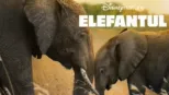 thumbnail - Elefantul