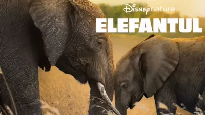 thumbnail - Elefantul