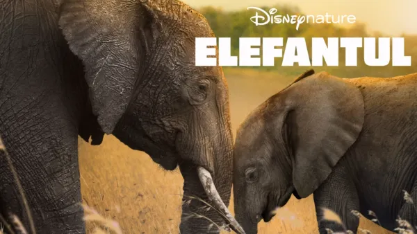 thumbnail - Elefantul