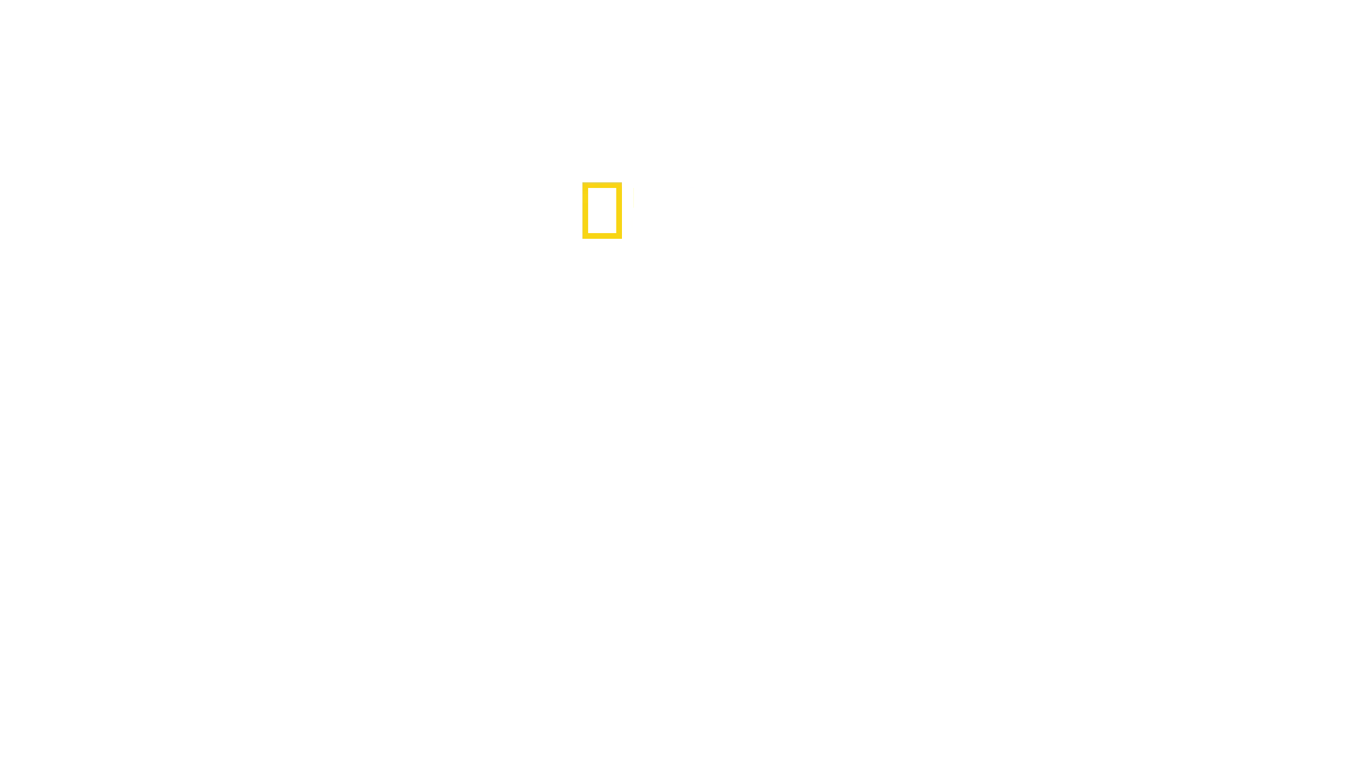 Le royaume sauvage