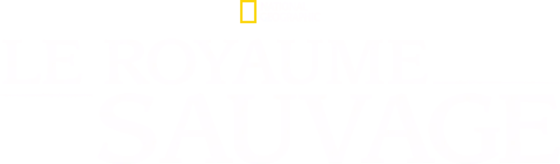 Le royaume sauvage