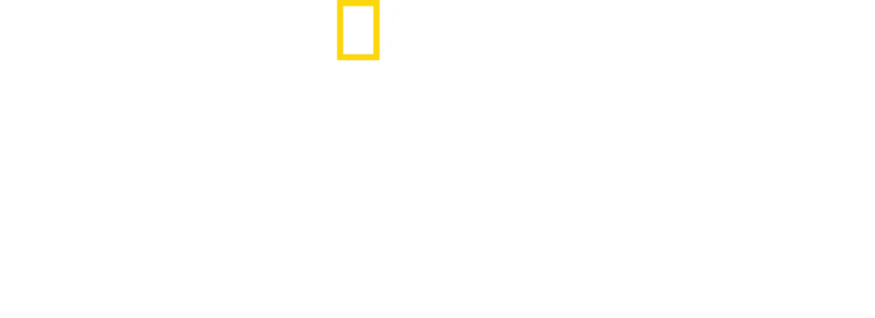 動物写真家が追うチーターの親子