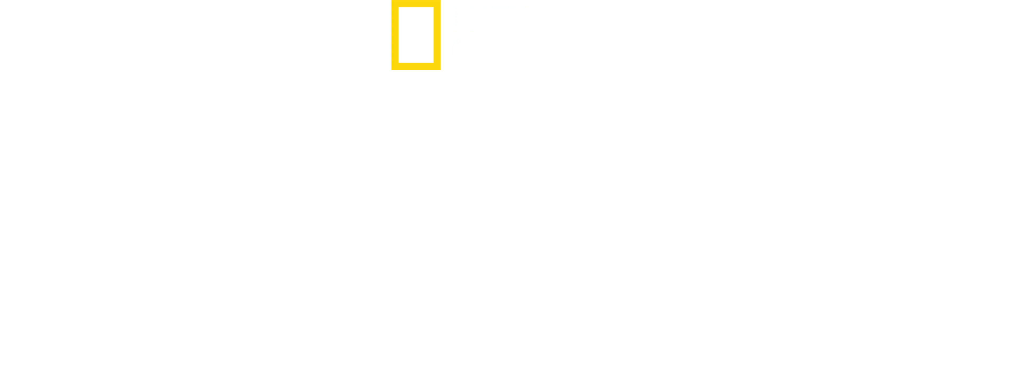 動物写真家が追うチーターの親子