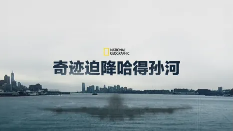 thumbnail - 奇迹迫降哈得孙河