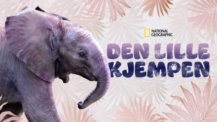 thumbnail - Den lille kjempen
