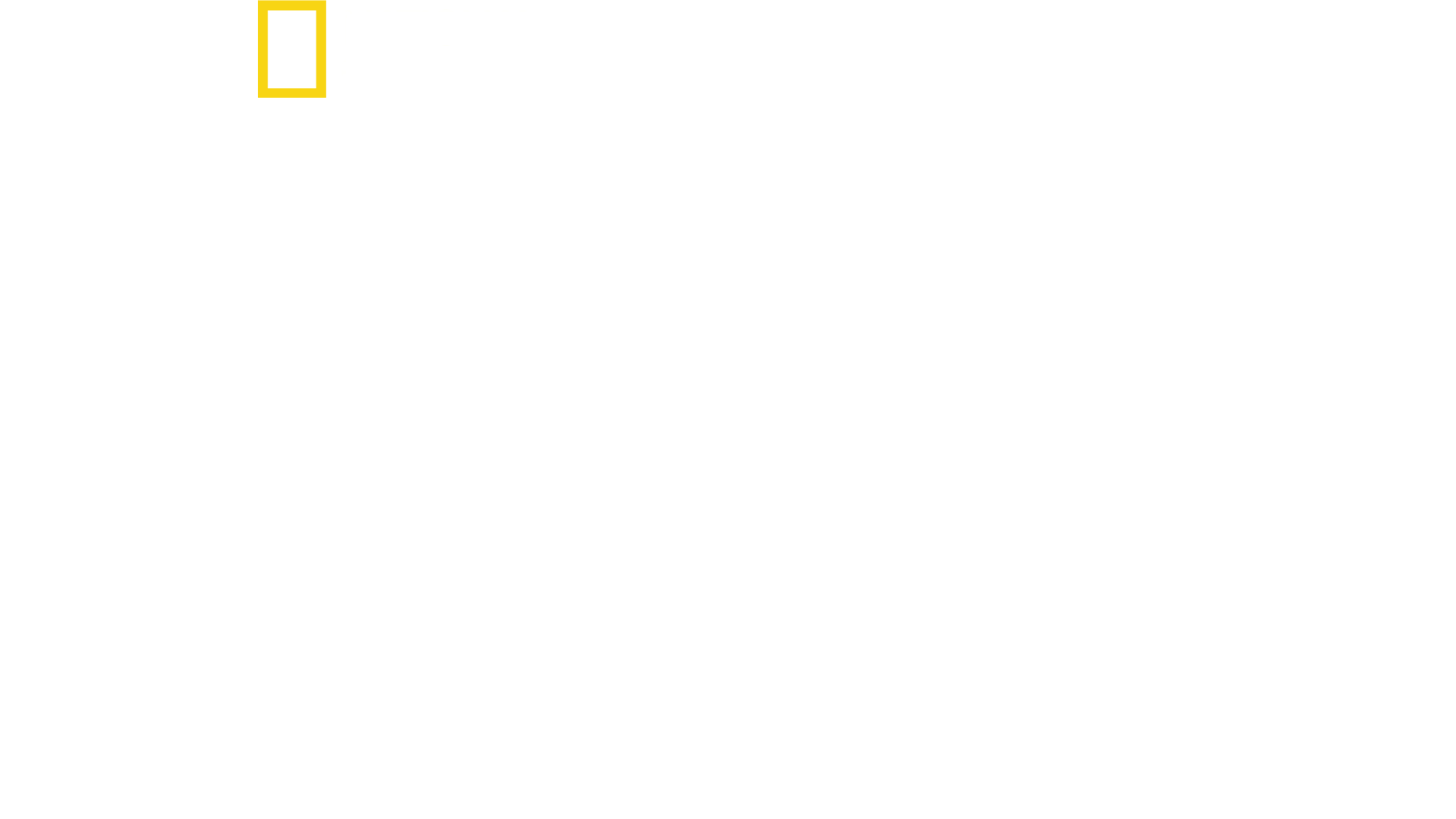 Akte Hai - Dem Raubtier auf der Spur