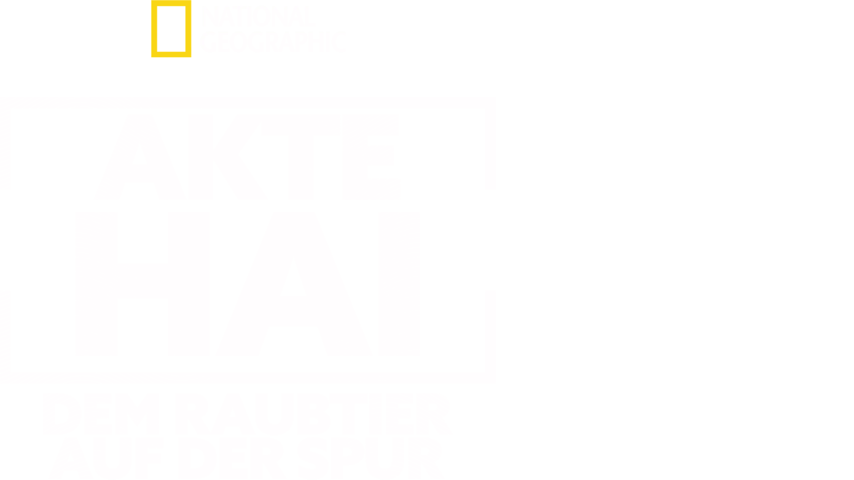 Akte Hai - Dem Raubtier auf der Spur
