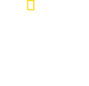 Akte Hai - Dem Raubtier auf der Spur