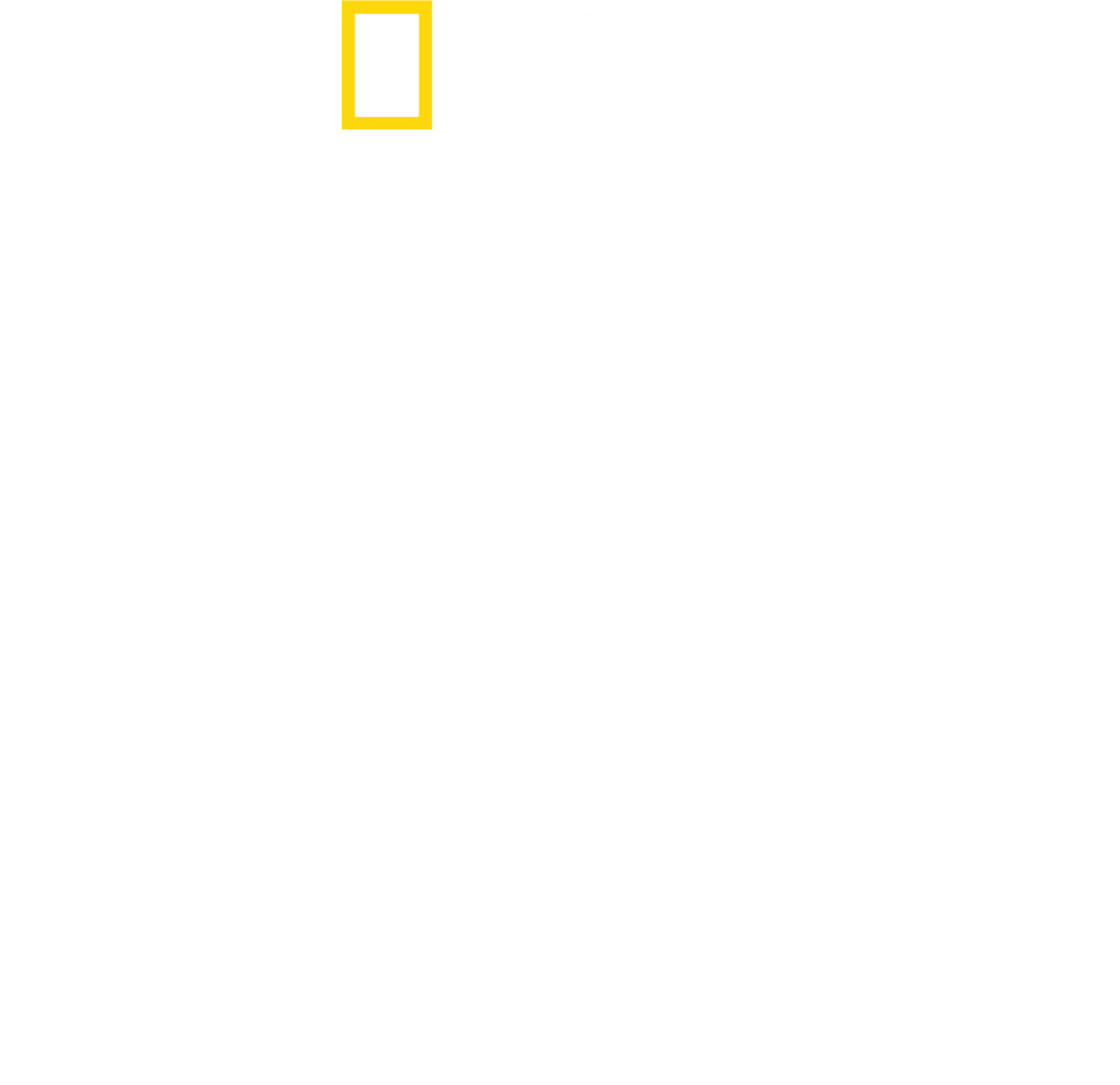 Akte Hai - Dem Raubtier auf der Spur