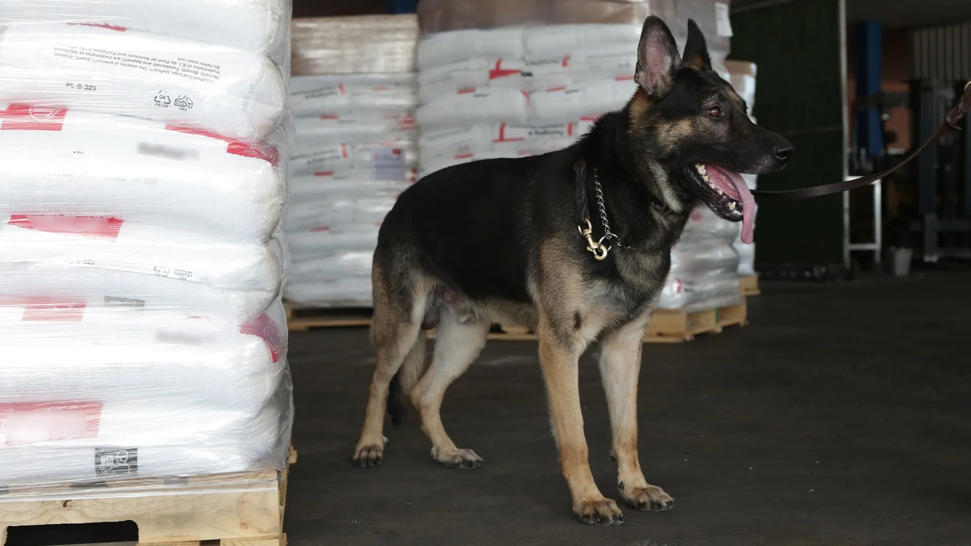 thumbnail - S2:E4 The Money Laundry