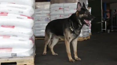 thumbnail - S2:E4 The Money Laundry