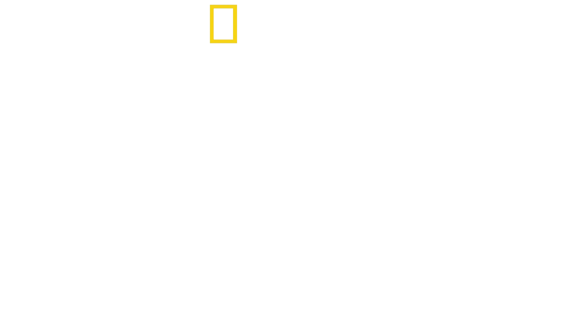 Il Mistero dei Leoni